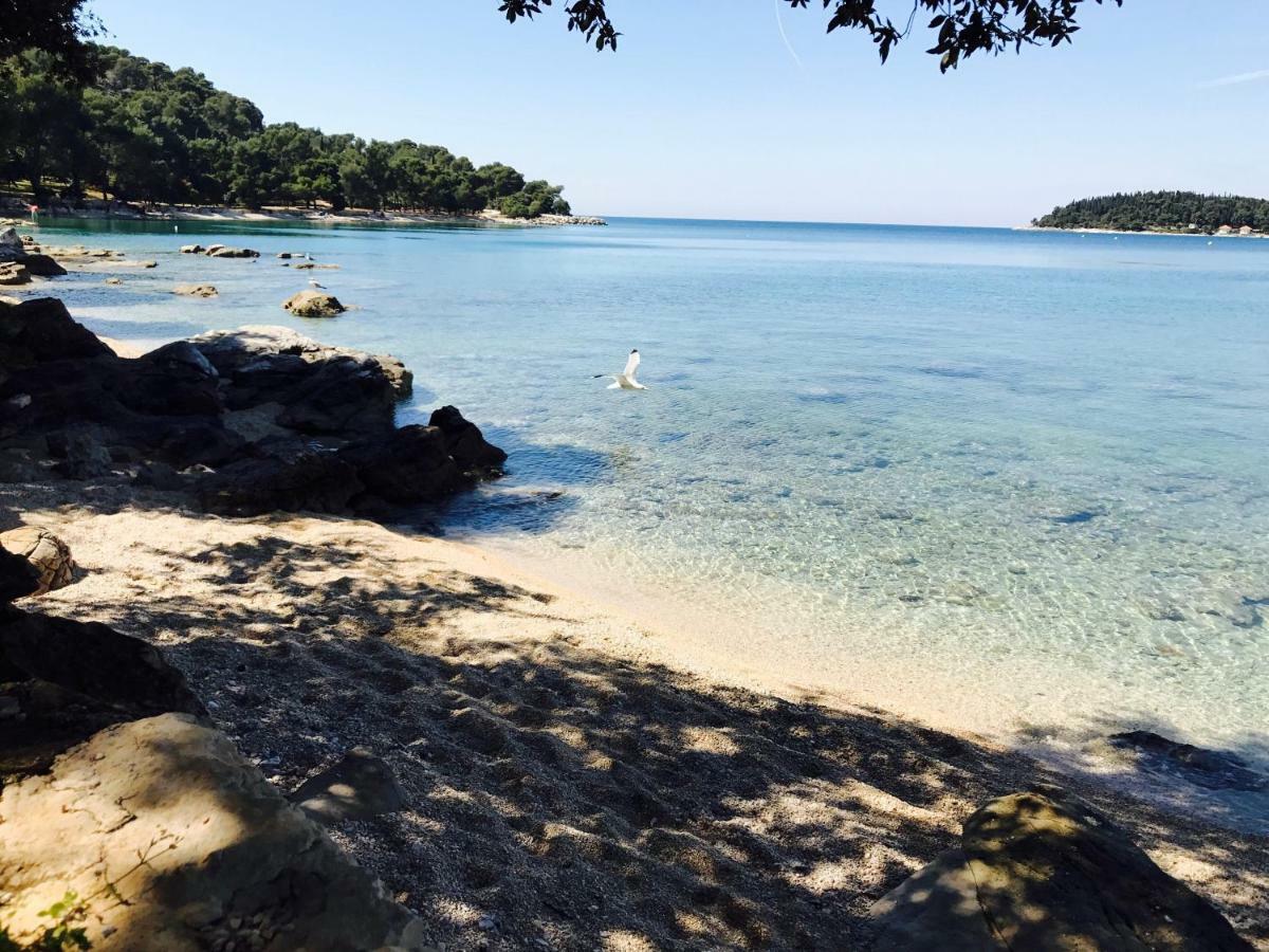 Apartmani Beril Lux Rovinj Eksteriør billede